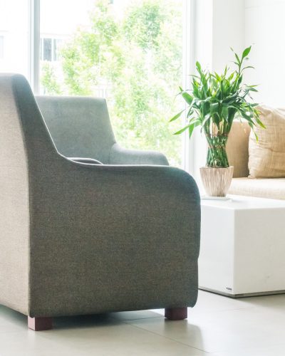 Vase plant decoration with sofa interior of living room